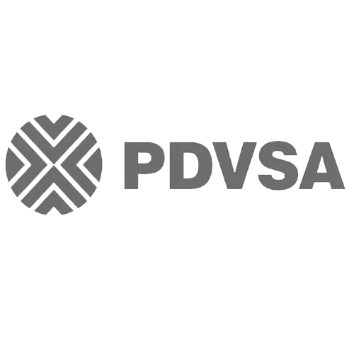 PDVSA logo